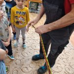 phoca_thumb_m_pomlzka 13 Fotogalerie